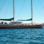 Agora 7